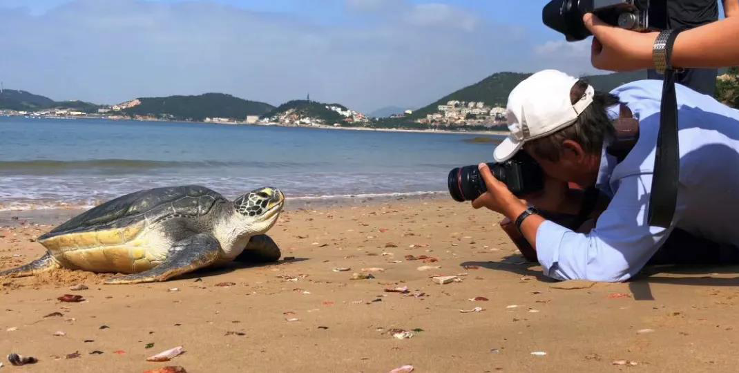 1555905652.png 1555905652.png