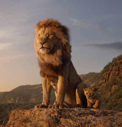 1564564666.png image.png