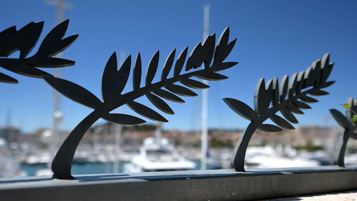 1650520209.jpeg 1650520209.jpeg